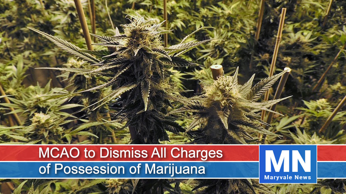 MCAO to Dismiss All Pending and Unfiled Charges of Possession of Marijuana