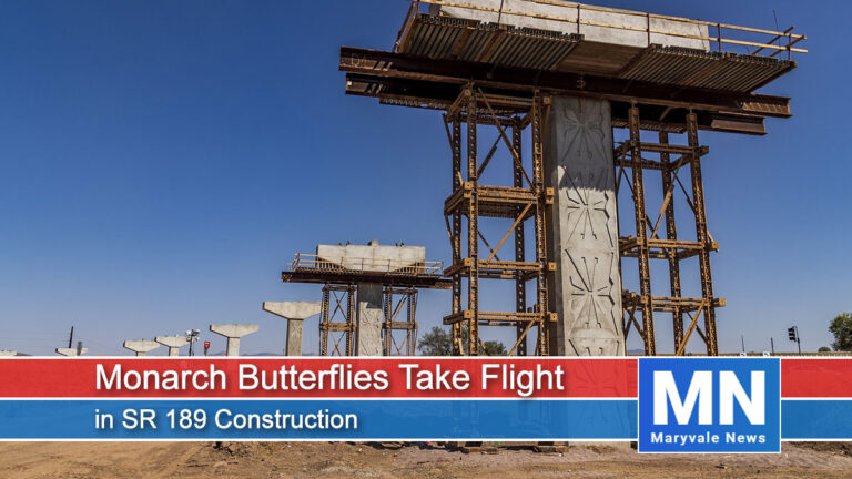 Monarch Butterflies Take Flight in SR 189 Construction