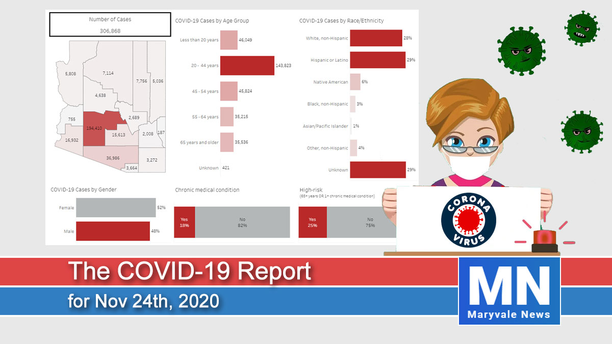 The COVID-19 Report for Nov 24th, 2020